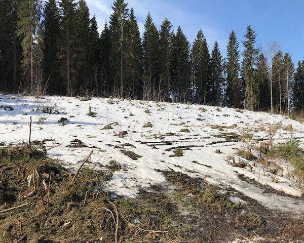 Kiinteistö Oy Harjulinna, huhtikuu 2018: Lumien sulaessa maatyöt alkavat